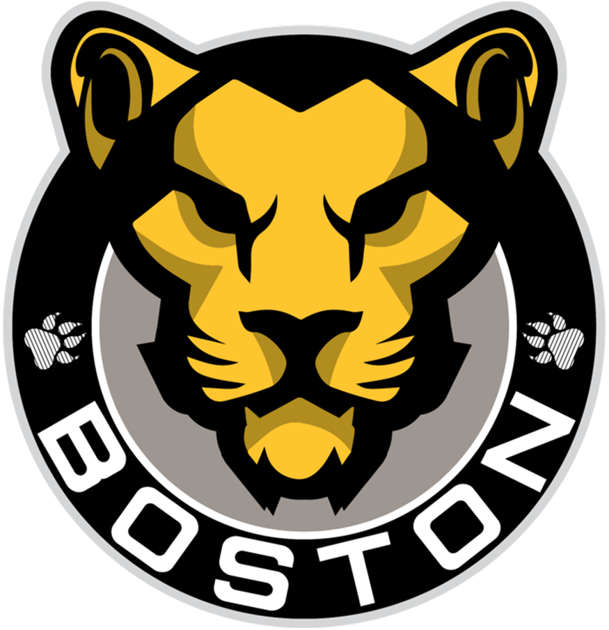Boston Pride 2017-Pres Primary Logo iron on transfers for clothing